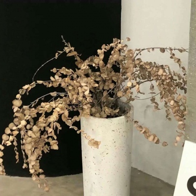 Furry数位板绘画入门技巧FurryQQ群